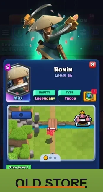 Ronin
