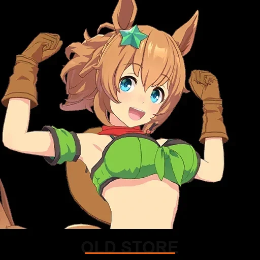 taiki shuttle image